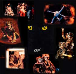 Am So. 25.02.2001 moderierte ich die große Vorpremiere des Musicals "CATS" in Stuttgart!